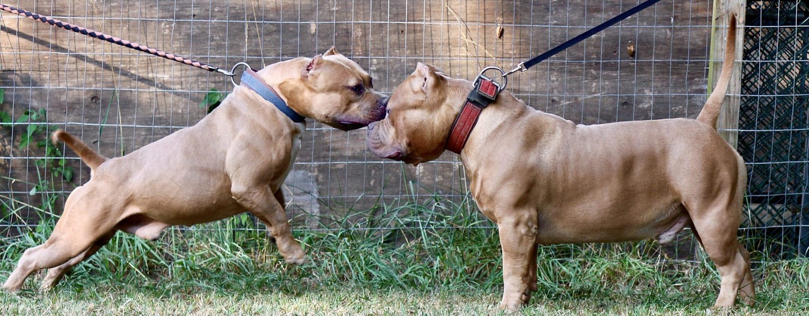 20250810_093050000_iOS