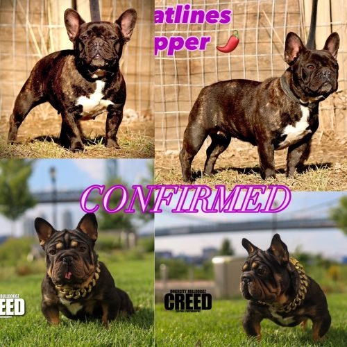 20251013_194801021_iOS